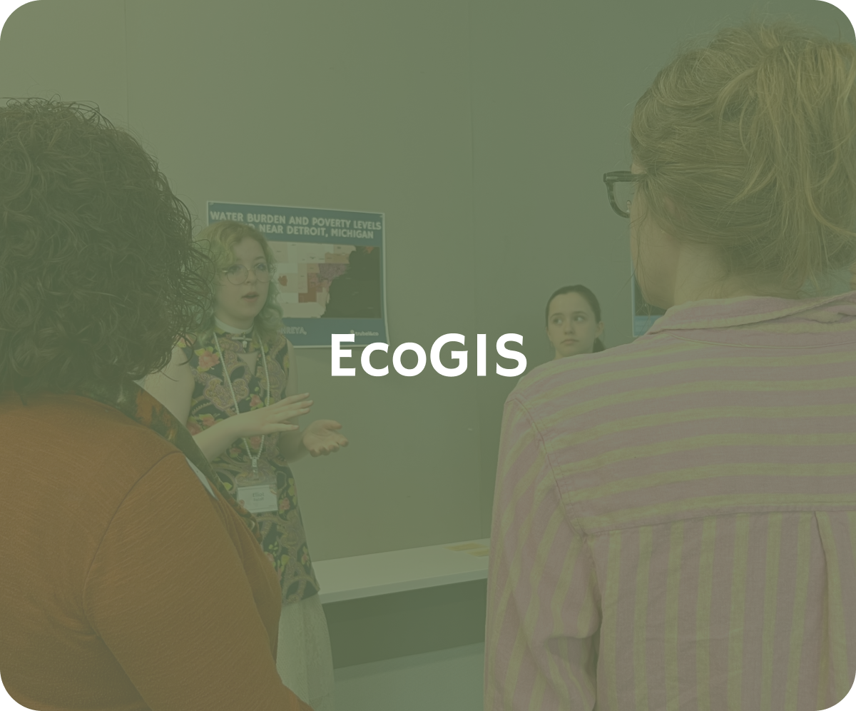 EcoGIS workshop preview